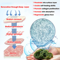ODM OEM Bio Microneedling Blackhead Acne Pigmentation Remove Spongilla Spicules Algae Peel Peeling Seaweed Sponge Microneedles B