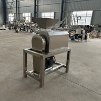 Industriële fruitverwerkingsinstallaties automatische tomaten- en mangopureermachine met enkele/dubbele kanaal fruitpulper
