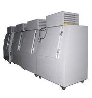 Congélateur vertical personnalisable pour glaçons, réfrigérateur commercial à refroidissement direct avec porte inclinée