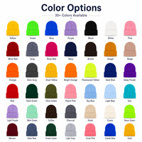 Bonnet tricoté côtelé personnalisé avec logo, 30 couleurs, OEM, marque privée, vente en gros