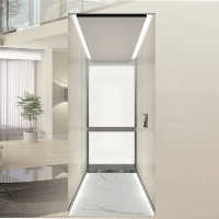 Ascenseurs de villa en acier inoxydable de la série Premium, système de contrôle intelligent 220V. Capacité personnalisable de 400 kg pour 2-3 personnes