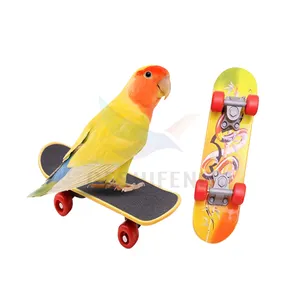 鳥のおもちゃ面白いミニスケートボードオウムおもちゃトレーニングスケートボードバギーインコ成長おもちゃ