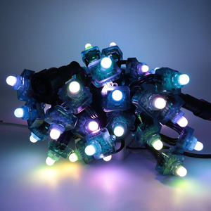 DC12V <strong>WS2811</strong> Bullet Led <strong>Pixel</strong> Lights IP68 Waterproof Garden LED <strong>String</strong> Light Wholesale - Product Image 6