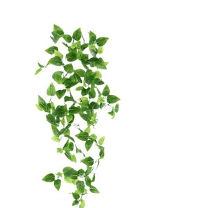 <span class=keywords><strong>Lierre</strong></span> artificiel suspendu, feuilles de <span class=keywords><strong>lierre</strong></span> décoratives pour mur, maison, jardin, mariage, plante verte simulée réaliste - Product Image 4