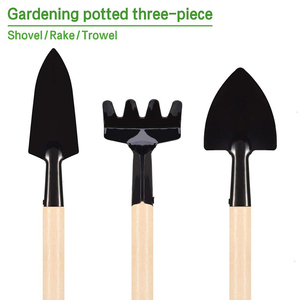 Ensemble d'outils de jardin en acier inoxydable, Mini outils de jardin/parfait ensemble 3 pièces avec manche en bois, truelle de pelle, Promotion spéciale - Product Image 3
