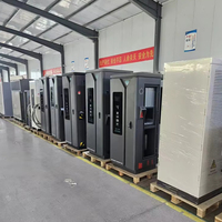 Borne de recharge rapide DC pour véhicules électriques 60 kW à commande intelligente, à poser au sol, compatible CCS1, GBT, CCS2, pour opération CPO