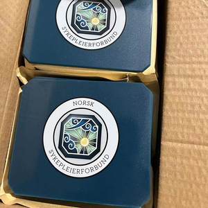 Plastic Ice Scraper Car Snow Removal Tool Customizable Logo Color Vehicle Mounted - Product Image 3