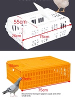 Cage de transport pour poulets en plastique robuste empilable, caisse pour volailles vivantes, logistique, boîte en matériau HDPE durable
