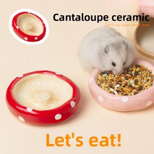 Mignonne maison de <span class=keywords><strong>hamster</strong></span> en céramique de luxe au design champignon pour salon, petite cage imperméable et rafraîchissante - Product Image 3