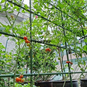Plastic Coated Steel Pipe Plant Climbing <b>Pole</b> <b>Gardening</b> Bracket Accessories - Product Image 6