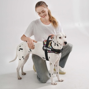 工場直販カスタム 反射ナイロン 調節可能 高耐久 犬用ハーネス 引っ張り防止 ペットハーネスベスト 屋外用ネームパッチ付き - Product Image 5