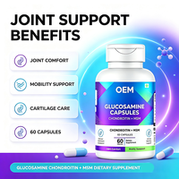 Capsules de glucosamine avec chondroïtine et MSM, 60 unités, complément alimentaire