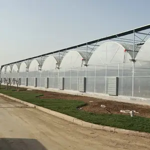 農業用トマトマルチスパン温室