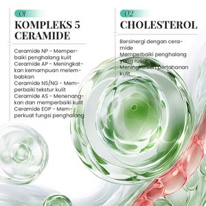 KORMESIC Certificado por Bpom, Venta al por Mayor, Set Hidratante 5x Ceramida de 25g+10ml+8g+20g, Limpieza Suave, Reparación de la Barrera Cutánea, Hidratación - Product Image 3