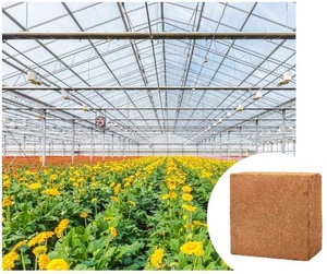 Turba de Coco de Calidad Superior Directo de Fábrica para Cultivo en Invernadero, Sustituto de Suelo Orgánico Sostenible - Product Image 2
