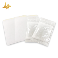 Soins de santé produits de beauté japonais naturel à base de plantes bambou vitamine infusé tampons amincissants corps Detox pied Patch pour les femmes
