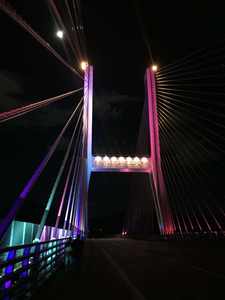 Create Holiday Magic With Waterproof Ip65 Dyeing <b>Lights</b> For Outdoor <b>Spaces</b> - Product Image 1