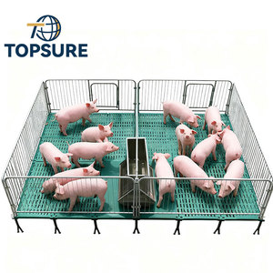 Thiết bị trang trại lợn | bền cai sữa heo con vườn ươm bút Crate gian hàng lồng | tự động lợn nhà cung cấp hệ thống tại Trung Quốc - Product Image 2