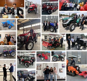Tractor Agrícola 4x4 de 40HP con Motor Yangdong, Certificación ISO y CE, Tractores Agrícolas, Mini Tractor para Invernadero, Uso Pesado, El Mejor Tractor - Product Image 6