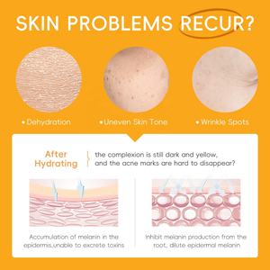 Set de Cuidado de la Piel de Marca Privada Laikou, 5 Piezas, Niacinamida, Limpiador, Tónico, Suero, Crema para Ojos, Crema Facial, Vitamina C, para Uso Diario - Product Image 4