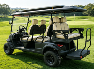 Voiture de golf homologuée CE 48V 6 places pour le tourisme et les visites, homologuée pour la route - Product Image 2