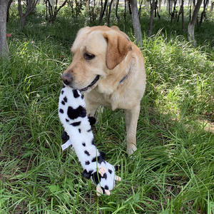 Wholesale Interactive Dog Toy <b>Plush</b> Non-Stuffed Animal Leather Case with Squeaky Sound Pet Supplies for Movement & Fun - Product Image 2