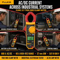   Pince ampèremétrique numérique AC/DC 317 True RMS, testeur électrique professionnel, multimètre à pince 600A, garantie 1 an, CAT III 600V