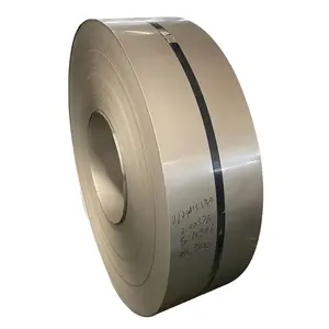 Prime Cold Rolled Sus 201 202 316 309s Austenite Stainless Steel Strip 304 Coil