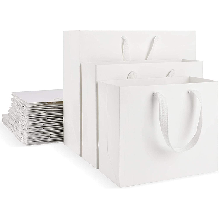 Cheap Price Custom Logo Cotton Handle Paper Bag Business Packing Cosmetic Packaging Carry Retail Paper Bags