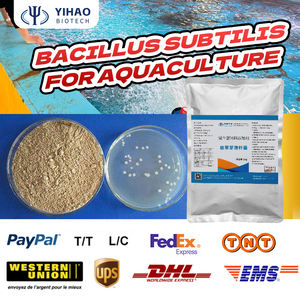 Le supplément de probiotiques <span class=keywords><strong>Bacillus</strong></span> <span class=keywords><strong>subtilis</strong></span> de super qualité pour l'aquaculture améliore l'environnement de l'eau - Product Image 4