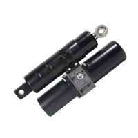Actionneur électrohydraulique PrimoPal 8000N IP66 IP67, course de 150 mm à 250 mm, 12 V 24 V CC, actionneur linéaire étanche pour 800 kg