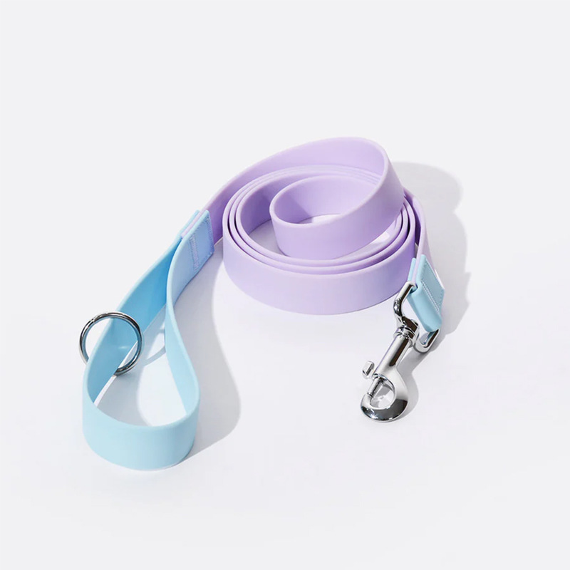Pet leash
