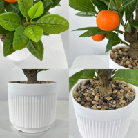 Bonsaï d'oranger artificiel en pot, réaliste, avec fruits de mandarine et verdure, petit modèle de table pour la maison, le bureau ou comme ornement de festival