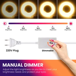 Bande lumineuse <span class=keywords><strong>LED</strong></span> néon COB dimmable 110V <span class=keywords><strong>220V</strong></span>, étanche IP66, <span class=keywords><strong>ruban</strong></span> flexible 288 <span class=keywords><strong>LED</strong></span>/m, CRI 90, durée de vie 50 000 heures, pour chambre et salon - Product Image 5