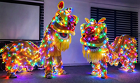 Costume de danse du lion du sud de la Chine lumineux à LED RGB, rechargeable, pour spectacle de Nouvel An et carnaval