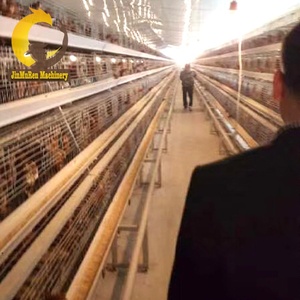 Jinmuren Chất Lượng Cao 10000 Lớp Gà Trang Trại Chim Lớp Lồng Để Bán - Product Image 4