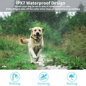 <span class=keywords><strong>Collar</strong></span> de entrenamiento para perros remoto 2025 Venta caliente <span class=keywords><strong>Collar</strong></span> de entrenamiento para perros con control remoto de 300 metros Rango remoto Pitido Vibración Modos de choque - Product Image 5