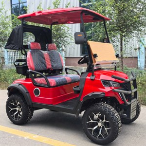 Elektrische Golfkar 2 Zitplaatsen Auto Met Golftas Ondersteuning Regenhoes Buggy Carrito De Mini Elektrische Auto Golfbaan Gebruik Luxe - Product Image 3