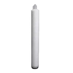 Absolute filtration food grade 10 inch 0.45 um PVDF membrane filter cartridge filter system purification