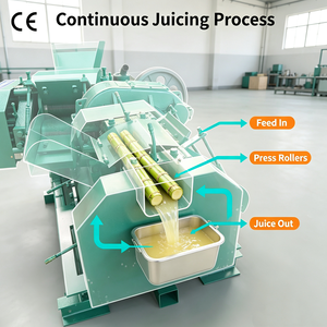 10 tonnes concasseur canne à <span class=keywords><strong>sucre</strong></span> presse-agrumes Hmt canne à <span class=keywords><strong>sucre</strong></span> Mini moulin jus Machine <span class=keywords><strong>prix</strong></span> <span class=keywords><strong>de</strong></span> qualité alimentaire et générateurs au Pakistan abordable - Product Image 3