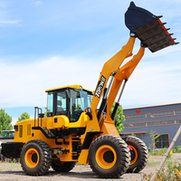 Prodotto di Punta: Pala Gommata CE/EPA Euro5 per Agricoltura e Costruzioni con Cabina