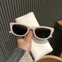 Lunettes de soleil oeil de chat de qualité ultra légères style Morandi Lunettes de soleil tendance papillon en plastique de luxe pour femmes personnalisées