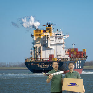 Gratis Sample Beste Istanbul Expediteur Vanuit China Japan Zeevracht Tarieven naar Brazilië Zeevracht - Product Image 5