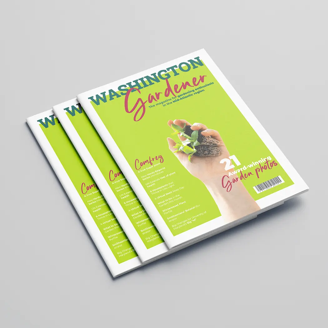 High Quality Custom Cheap Full Color Softcover Lamination A4 Photo Book Printing Glossy Magazine Printing