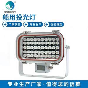 ไฟฉายแอลอีดี TG20 100วัตต์พลังงานสูง LED สีขาวอบอุ่นและ6000K CT CT IP67 IP65ตัวเครื่องอะลูมิเนียมสำหรับใช้งานในโรงแรม - Product Image 4