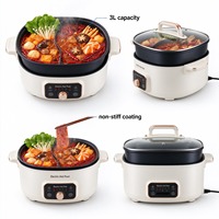 Casserole électrique
