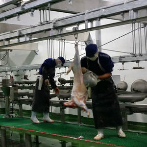 โซลูชัน EPC โรงฆ่าสัตว์แกะครบวงจร พร้อมวิศวกรรมโยธา ห้องเย็น และสายการผลิตแบบครบชุด - Product Image 4