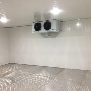 Cámara de refrigeración, almacenamiento en frío, para caminar