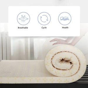 Customize White High Resilience Foam Memory Sponge <b>Mattress</b> Soft Firmness Removable Cover Modern Home Furniture - Product Image 4