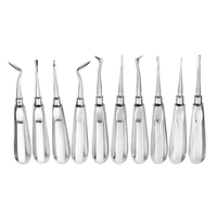 YP Lot de 10 instruments orthodontiques d'ascenseur de racine dentaire Kit d'extraction de racine de desserrage des dents